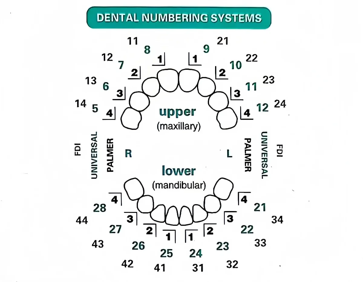 32pcs/Set Kit Cetakan Veneer G - Teeth Whitening Moulds ulasan dan harga